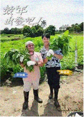 韩国美食综艺街头美食斗士海报