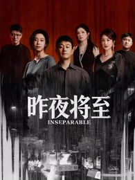 京都迷案簿 日韩剧集二区在线观看